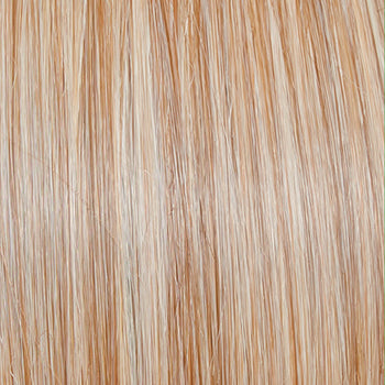 Raquel Welch Embrace Wig