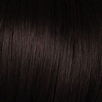 Raquel Welch Winner Elite Wig